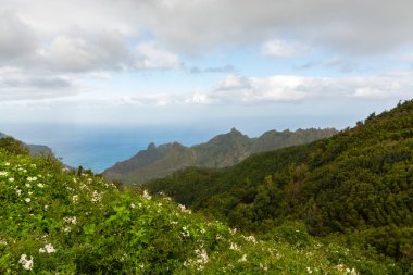 Yol Tf-12 Anaga kırsal Park - Tenerife eski orman ile zirveleri