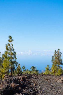 Teide Milli Parkı, Tenerife - en muhteşem seyahat hedef