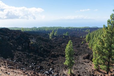 Teide Milli Parkı, Tenerife - en muhteşem seyahat hedef