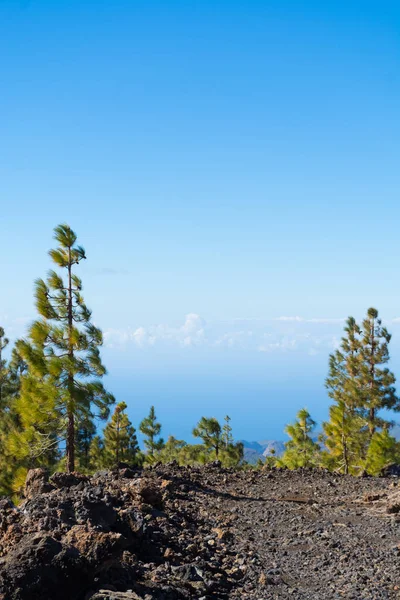 Teide 국립 공원, 테네리페-가장 아름 다운 여행 목적지 — 스톡 사진