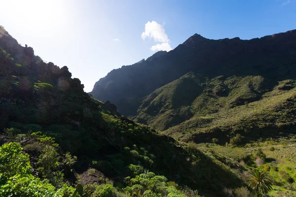 Natureza em Masca Village, Tenerife — Fotografia de Stock