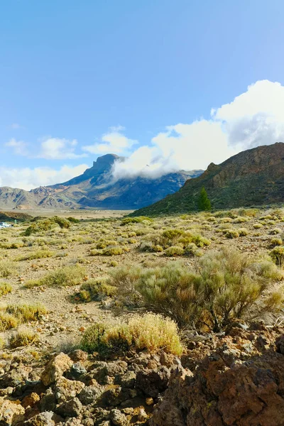 Teide Nemzeti Park Tenerife Leglátványosabb Úti Cél Láva Vulkán — Stock Fotó