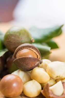 Macadamia fıstığı hasat yakın çekim