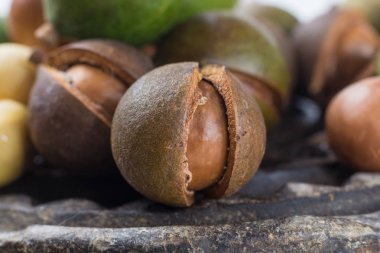 Macadamia fıstığı hasat yakın çekim