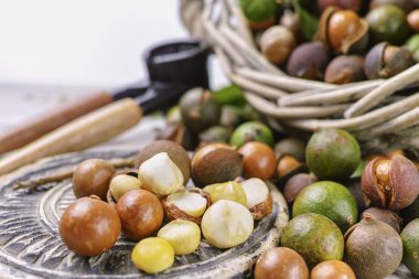 Macadamia fıstığı hasat yakın çekim