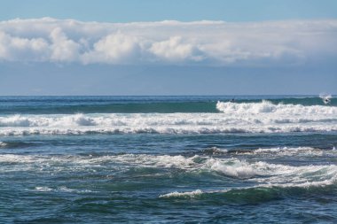 Atlantik Okyanusu kıyısında, Tenerife, Kanarya Adaları, İspanya
