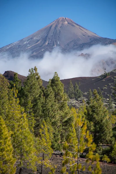Teide Nemzeti Park Tenerife Leglátványosabb Úti Cél Láva Kanári Szigetek — Stock Fotó