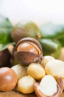 Macadamia fındık kabuğu - lezzetli pahalı yağ fındık 