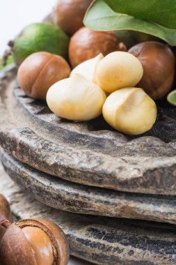 Macadamia fındık kabuğu - lezzetli pahalı yağ fındık 