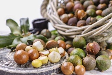 Macadamia fındık kabuğu - lezzetli pahalı yağ fındık 