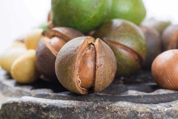 Noix de macadamia avec coque - savoureuses noix grasses coûteuses — Photo