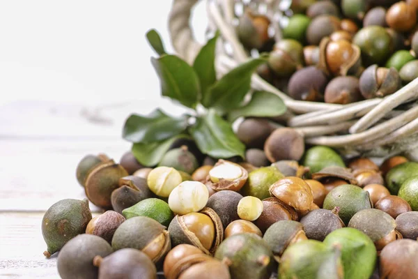 Las nueces de macadamia con la cáscara - las nueces sabrosas caras gordas — Foto de Stock