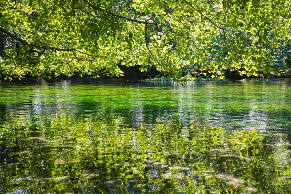 Smaragdgrün fließendes Flusswasser mit Algen, Flussauge, Frankreich — Stockfoto