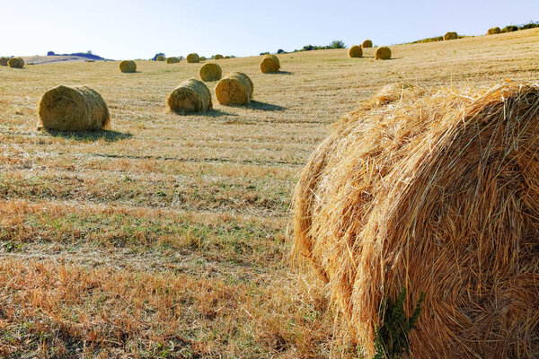 Круглые тюки соломы на пашнях и голубом небе
 