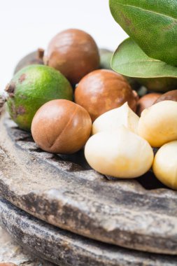 Macadamia fıstığı hasat yakın çekim