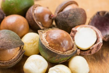 Macadamia fıstığı hasat yakın çekim
