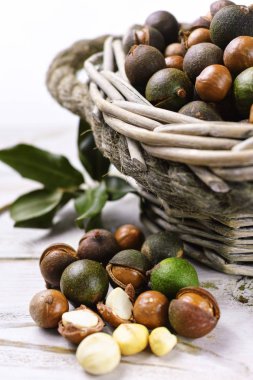 Macadamia fıstığı hasat yakın çekim