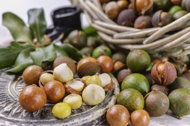 Macadamia fıstığı hasat yakın çekim