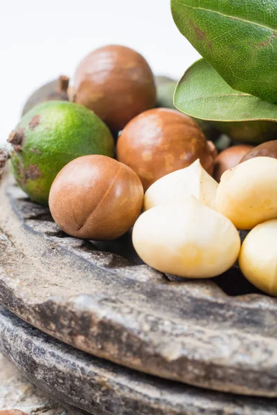 Macadamia fıstığı hasat yakın çekim