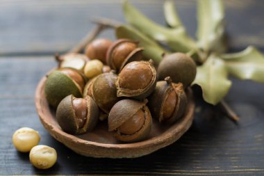 Macadamia fındık kabuğundaki ahşap tablo