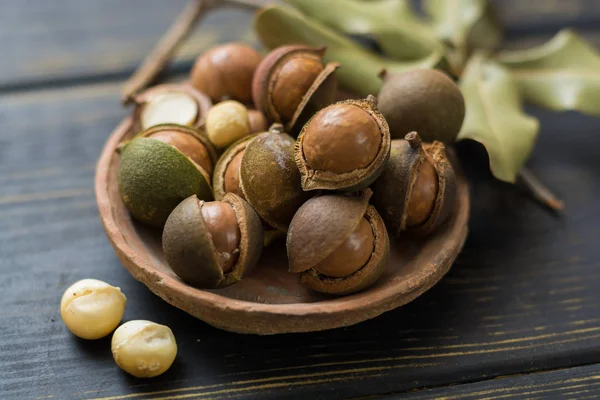 Nueces de macadamia en cáscara — Foto de Stock