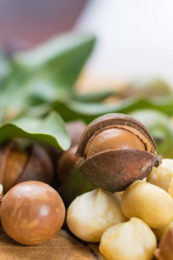 Macadamia fıstığı hasat yakın çekim