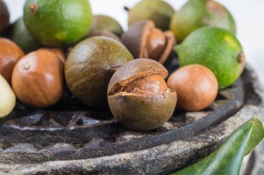 Macadamia fıstığı hasat yakın çekim