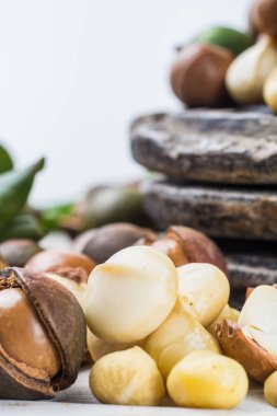 Macadamia fıstığı hasat yakın çekim