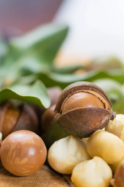 Cosecha Nueces Macadamia Cerca — Foto de Stock