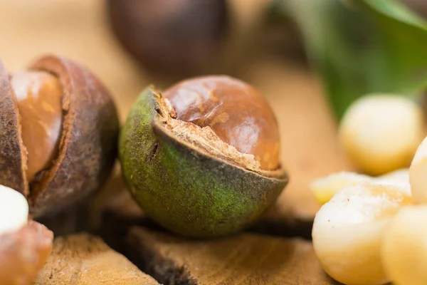 Macadamia Fıstığı Hasat Yakın Çekim — Stok fotoğraf