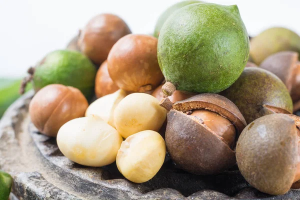 Macadamia Fıstığı Hasat Yakın Çekim — Stok fotoğraf
