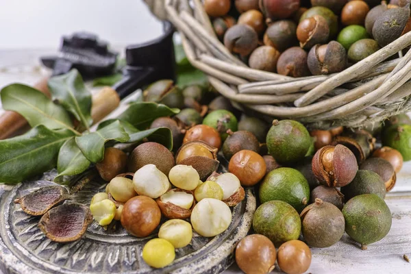 Macadamia Fıstığı Hasat Yakın Çekim — Stok fotoğraf