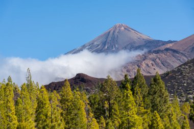 Teide Milli Parkı, Tenerife - en muhteşem seyahat hedef