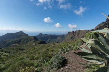 Masca Village, Tenerife yakınındaki doğa