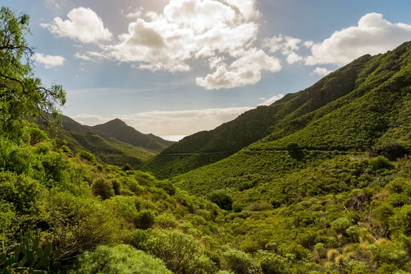 Yol Anaga Kırsal Park Tenerife Kanarya Adaları Kış Seyahat Hedef — Stok fotoğraf