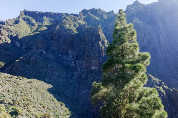 Natureza em Masca Village, Tenerife — Fotografia de Stock
