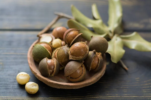 Nueces de macadamia en cáscara — Foto de Stock