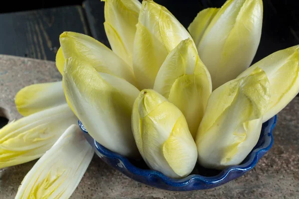 Taze ve sağlıklı hindiba (witloof) bir tabak salata. Diyet beni — Stok fotoğraf