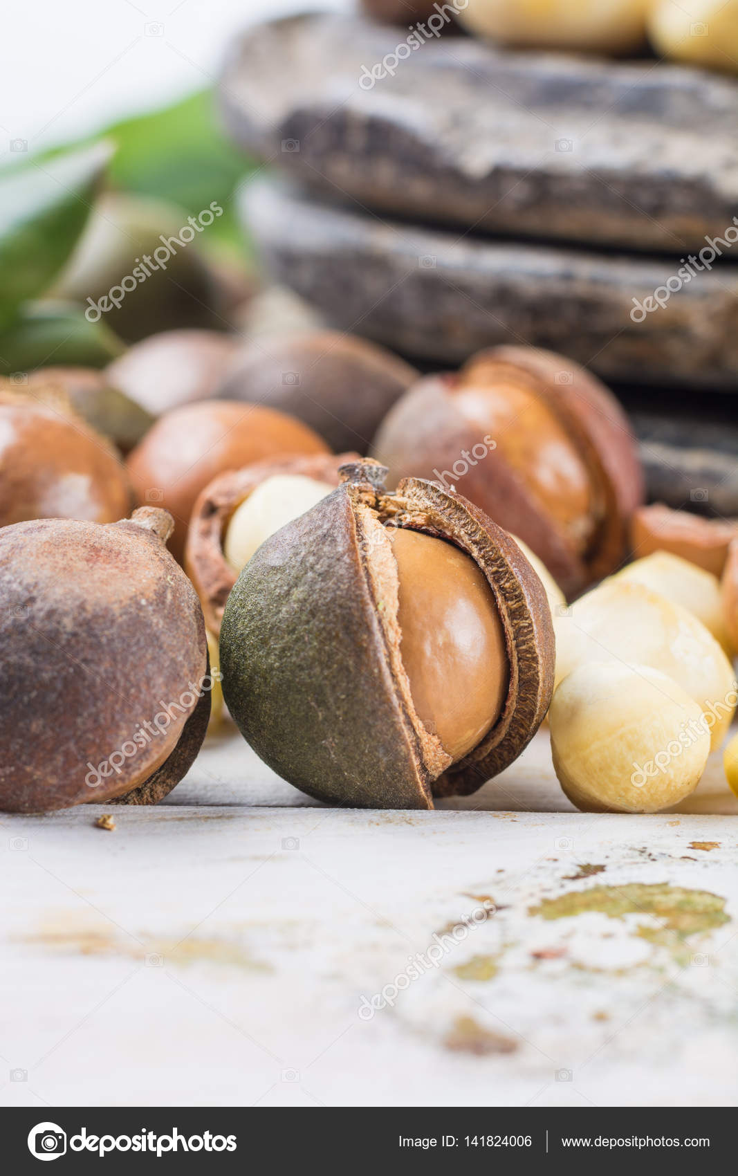 Rubber Boot Sex Macadamia Nuts Fat