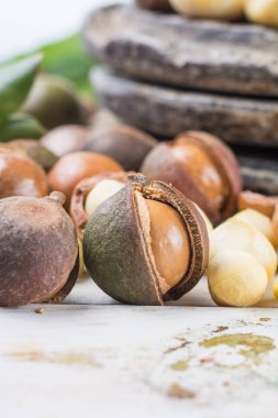 Macadamia fındık kabuğu - lezzetli pahalı yağ fındık 