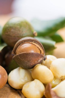 Macadamia fındık kabuğu - lezzetli pahalı yağ fındık 