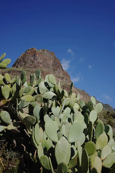 Naturaleza en Masca Village, Tenerife — Foto de Stock