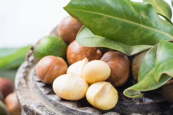 Las nueces de macadamia con la cáscara - las nueces sabrosas caras gordas —  Fotos de Stock