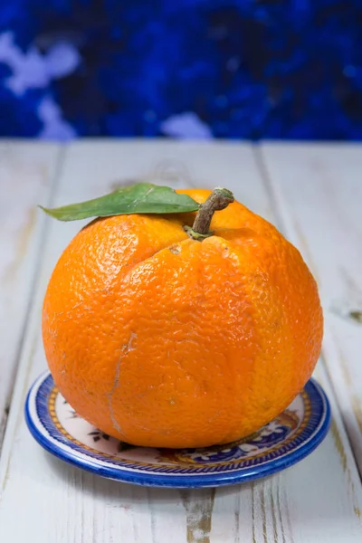 Yaprakları ile İspanya tarladan dev olgun organik portakal — Stok fotoğraf