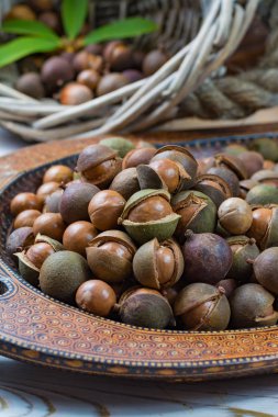 Macadamia fıstığı hasat yakın çekim