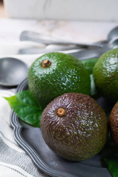 Green Fresh Avocado Organic Avocado Plantation Healthy Food — Stock Photo, Image