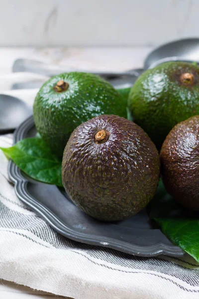 Avocado Fresco Verde Piantagione Avocado Biologico Cibo Sano — Foto Stock