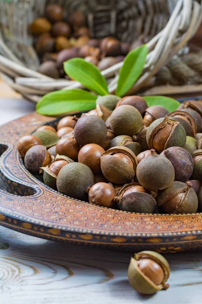 Cosecha de nueces de macadamia de cerca — Foto de Stock