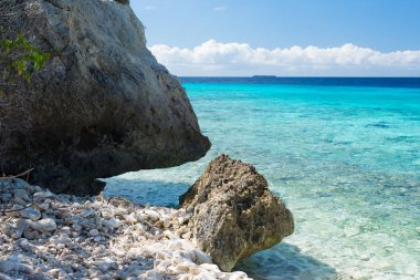Kayalar ve berrak mavi su - tropikal Curacao adasında yüzme cenneti, her mevsim