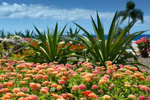 Dream travel destination all year - Carribean islands, blue sea and colorful flowers, palm trees